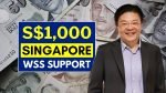 Singapore 1000 WSS Support